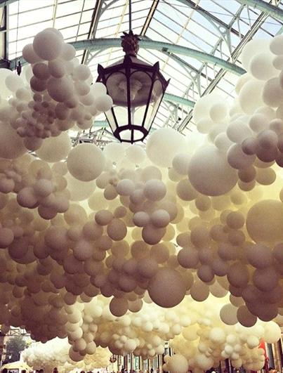 Dr. Öğr. Üyesi MERİH KASAP