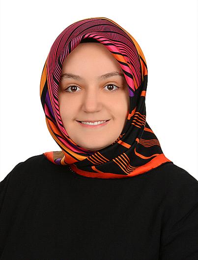 Assist. Prof. Dr. MERVE BULUT YILGÖR